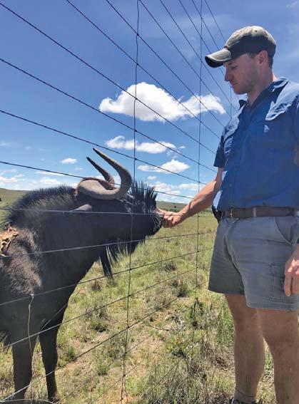 From bulls to boardrooms: farming part-time as a professional