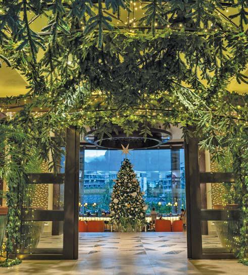 Christmas trees: a symbol of family celebrations