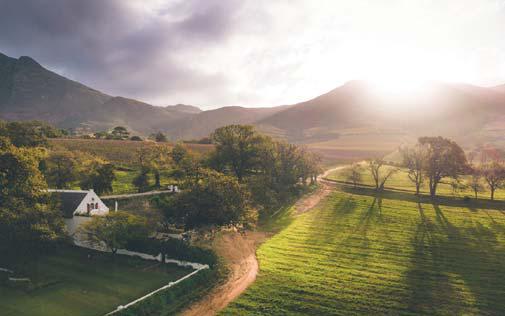 SA estates shine in World's Best Vineyards