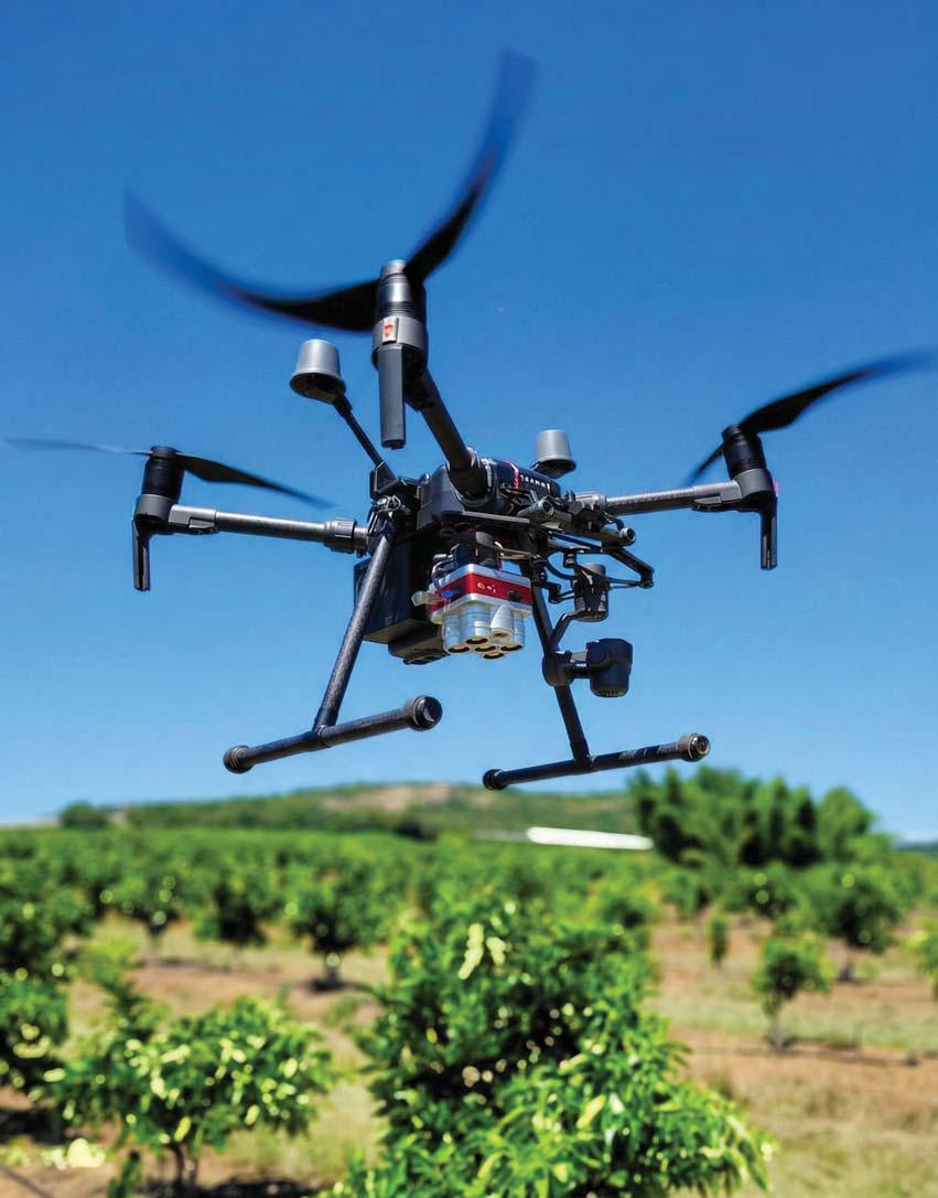 How drones are revolutionising pest and disease detection in agriculture