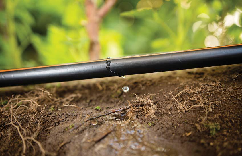 Irrigation automation in action