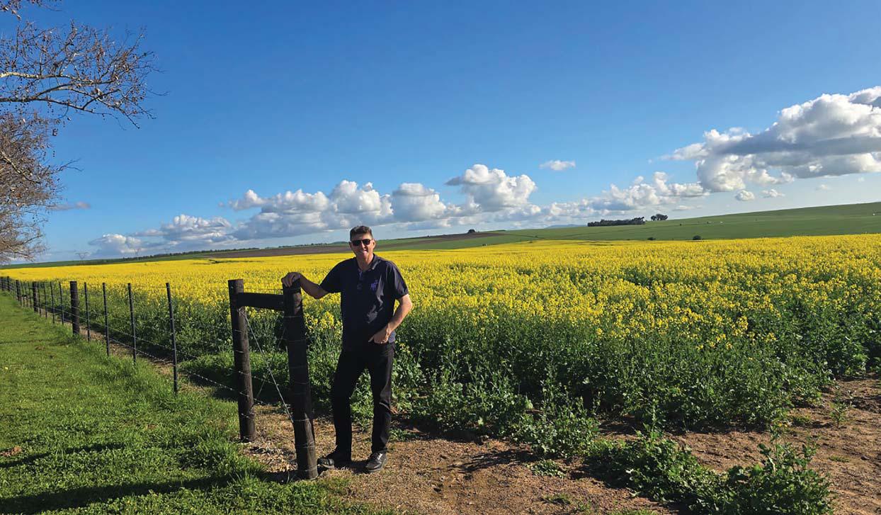 Locally developed biochar-rock blend attracts global interest