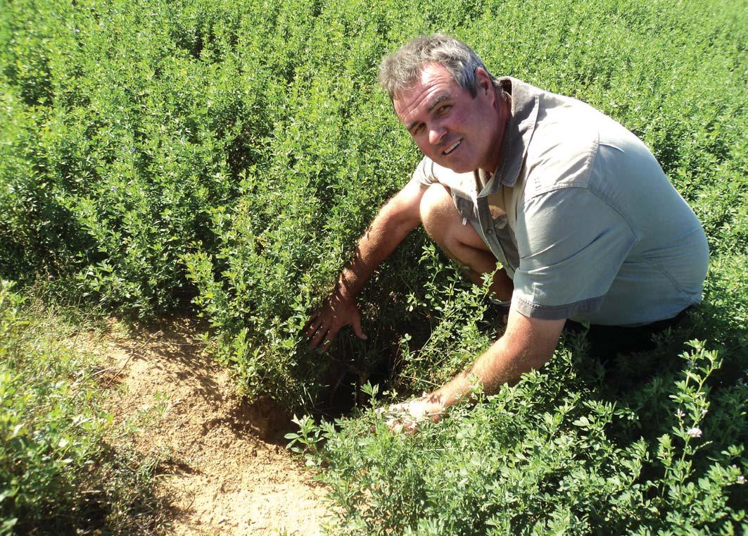 Nitrogen: no easy fix