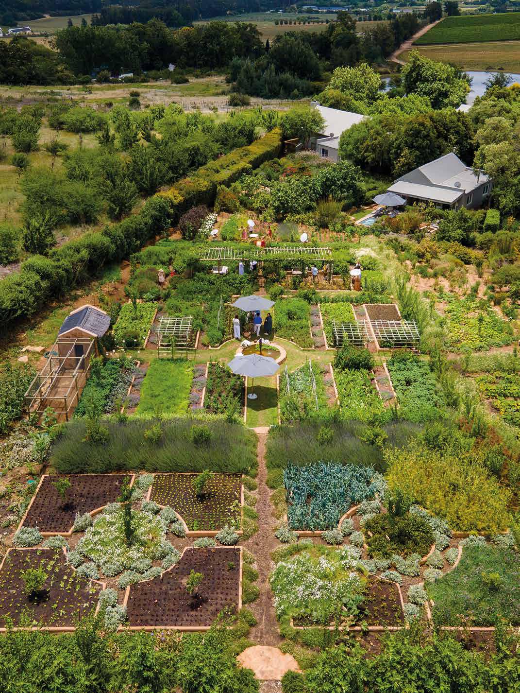 Edible EDEN