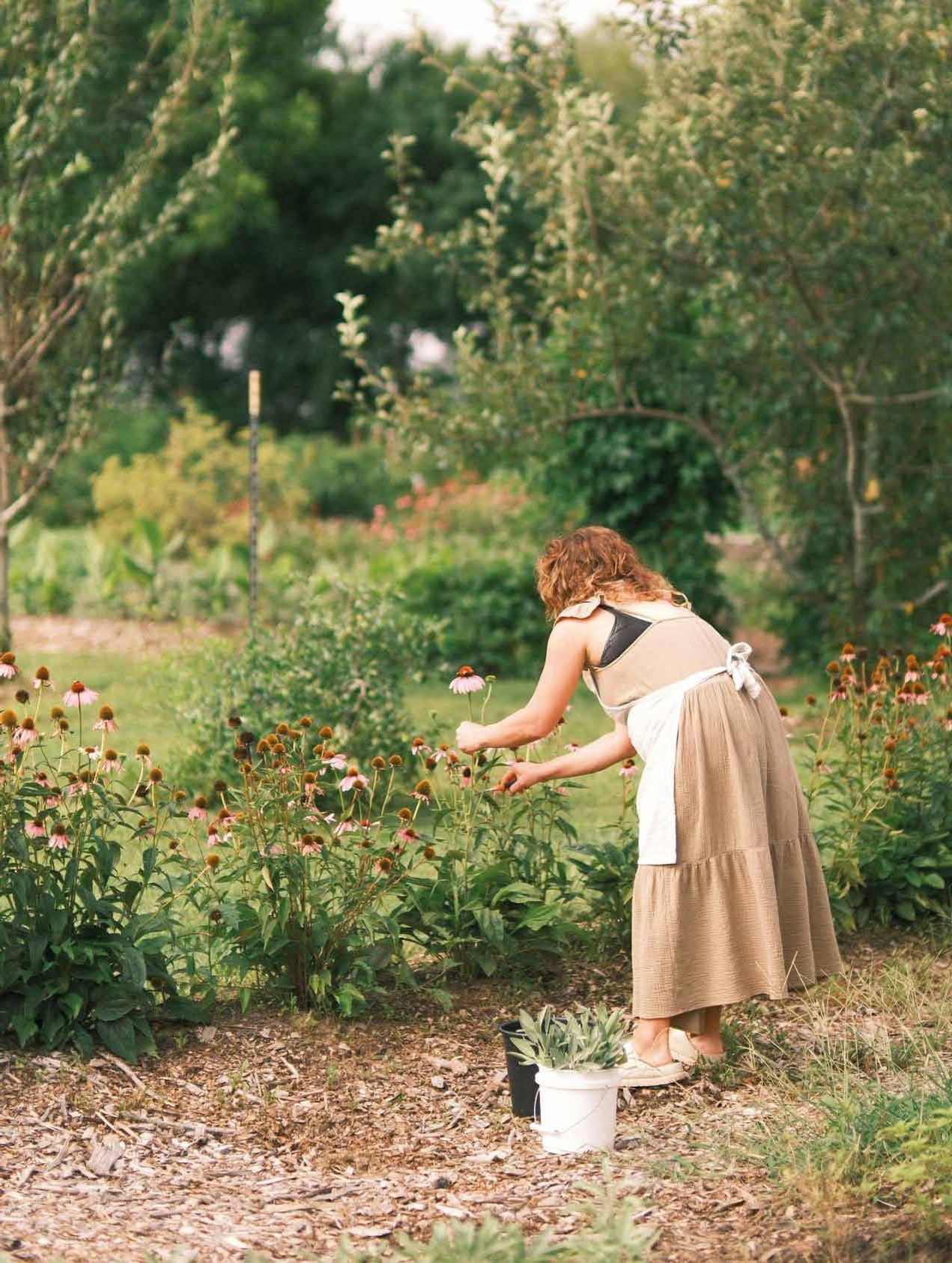 Spring into Summer: Your Essential Garden Prep