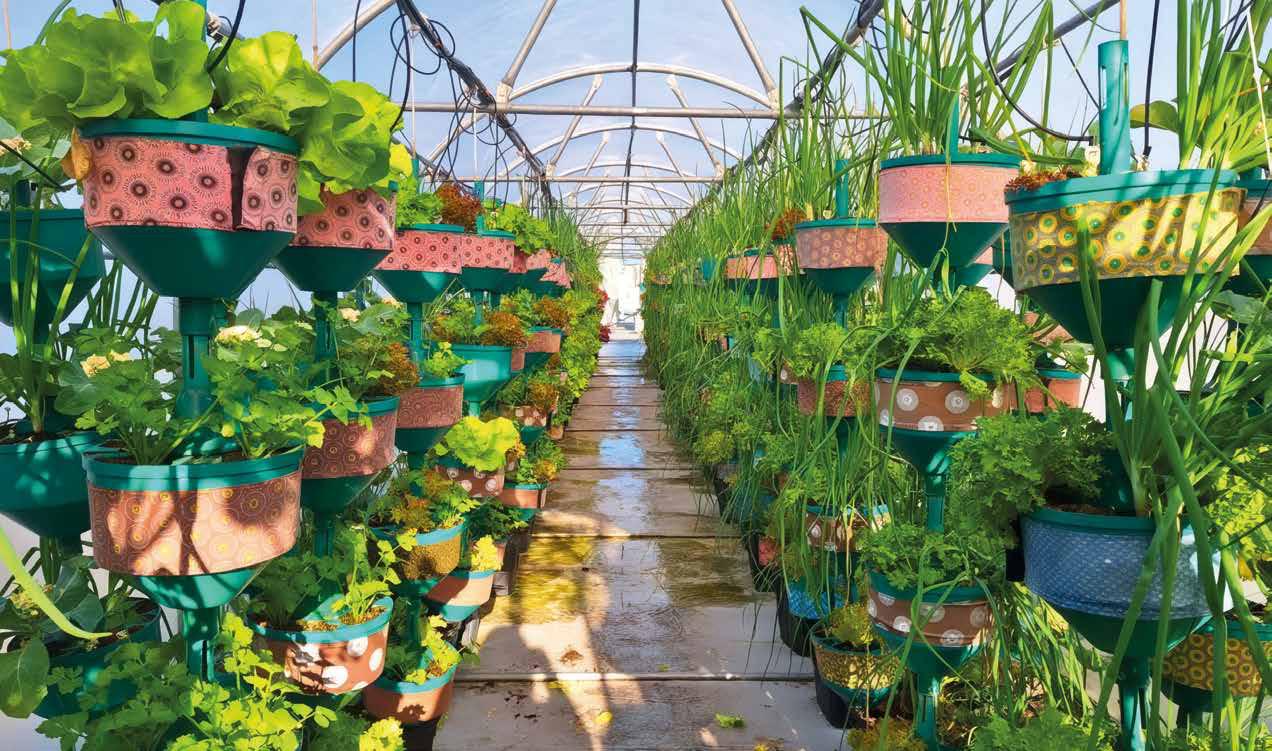 Seeds of Change
