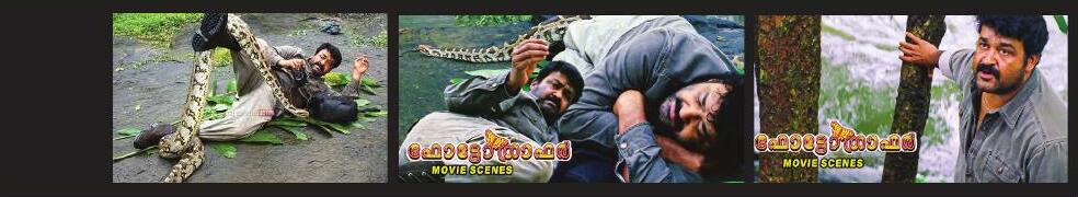 അപകടം മോഹൻലാലിന്റെ സഹയാത്രികൻ