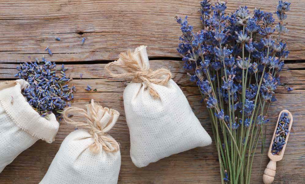 NATURAL WAYS TO SCENT YOUR HOME WITHOUT HARMFUL CHEMICALS