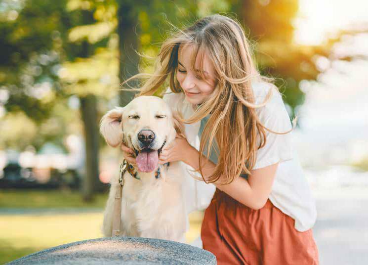 FOUR DIY PET ΤΟΥ IDEAS FOR KIDS