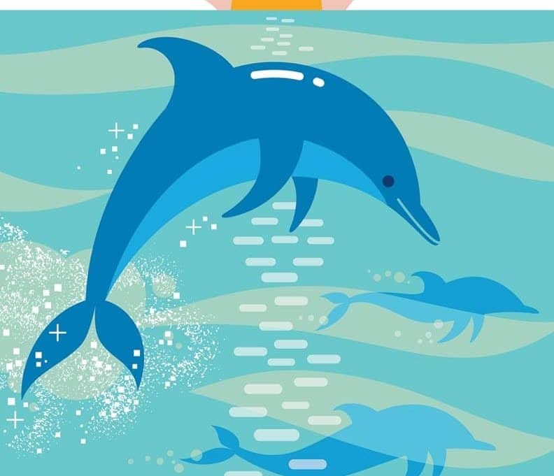 DOLPHINS!