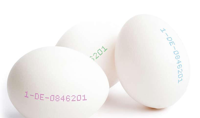 10 things egg producers need to know about egg printing