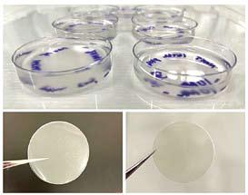 Gum tragacanth- Plant-based alternative to gelatin for edible films