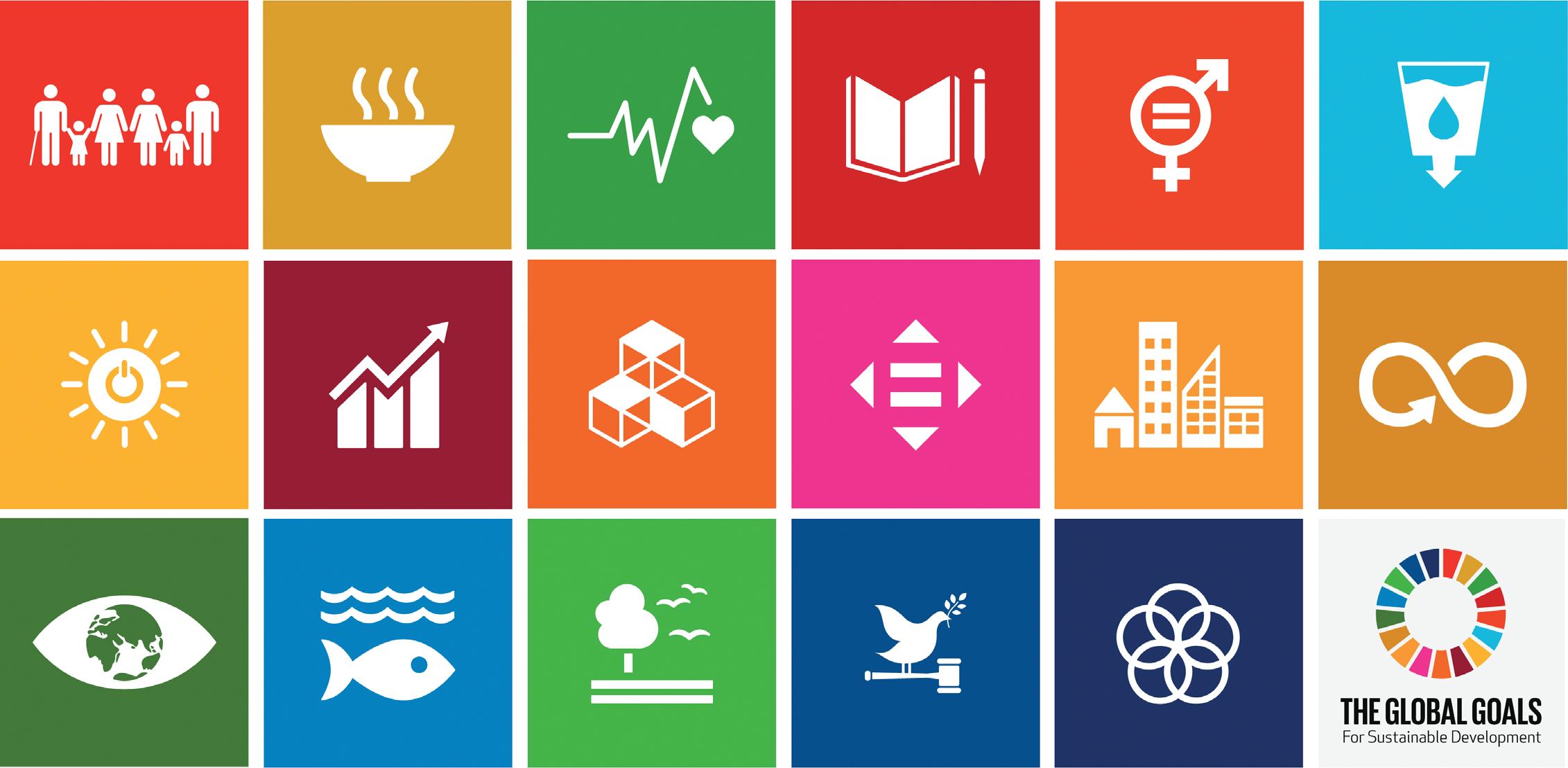 Sustainable Development Goals 2030