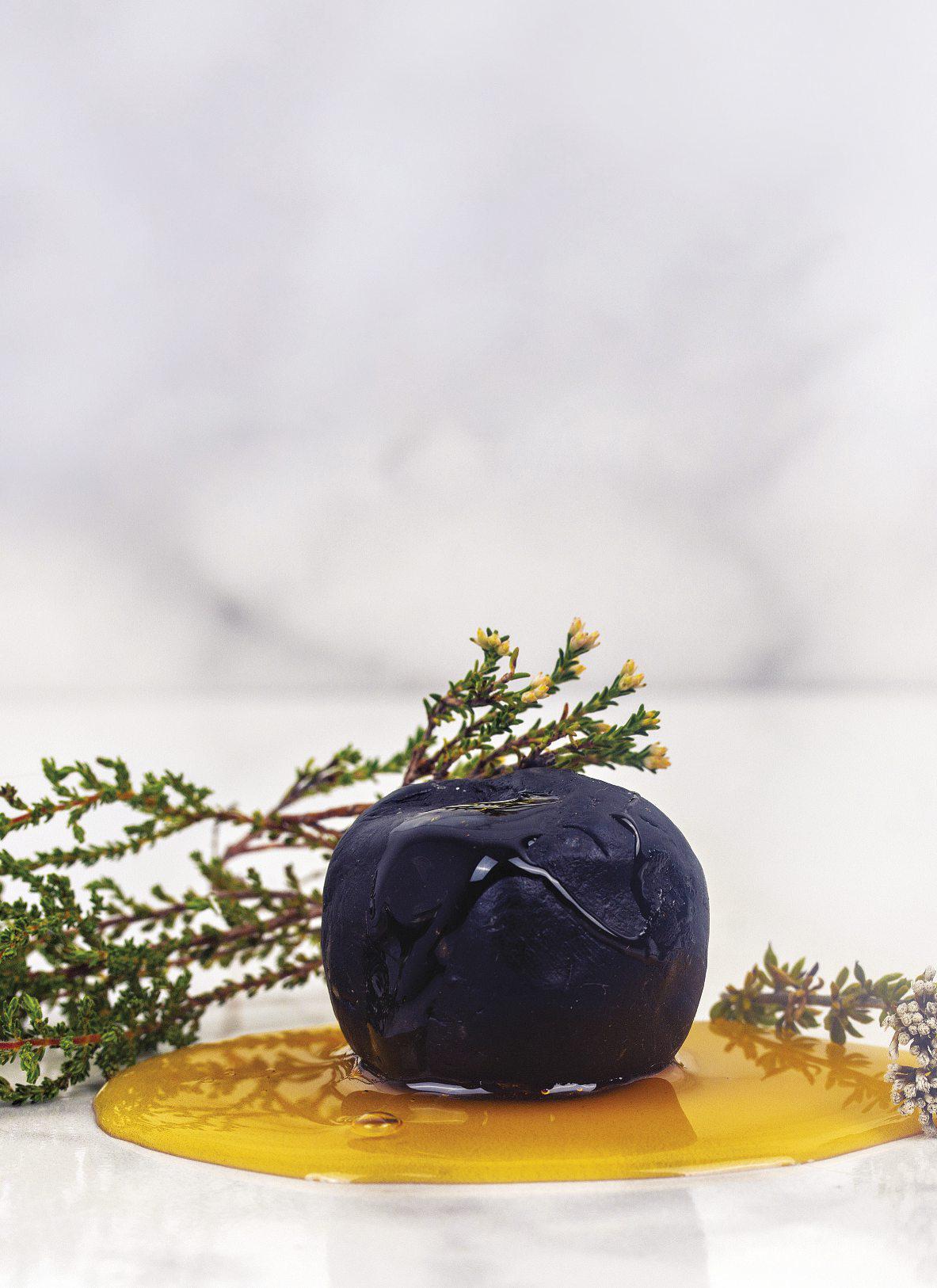 PROPOLIS: Nature's little miracle