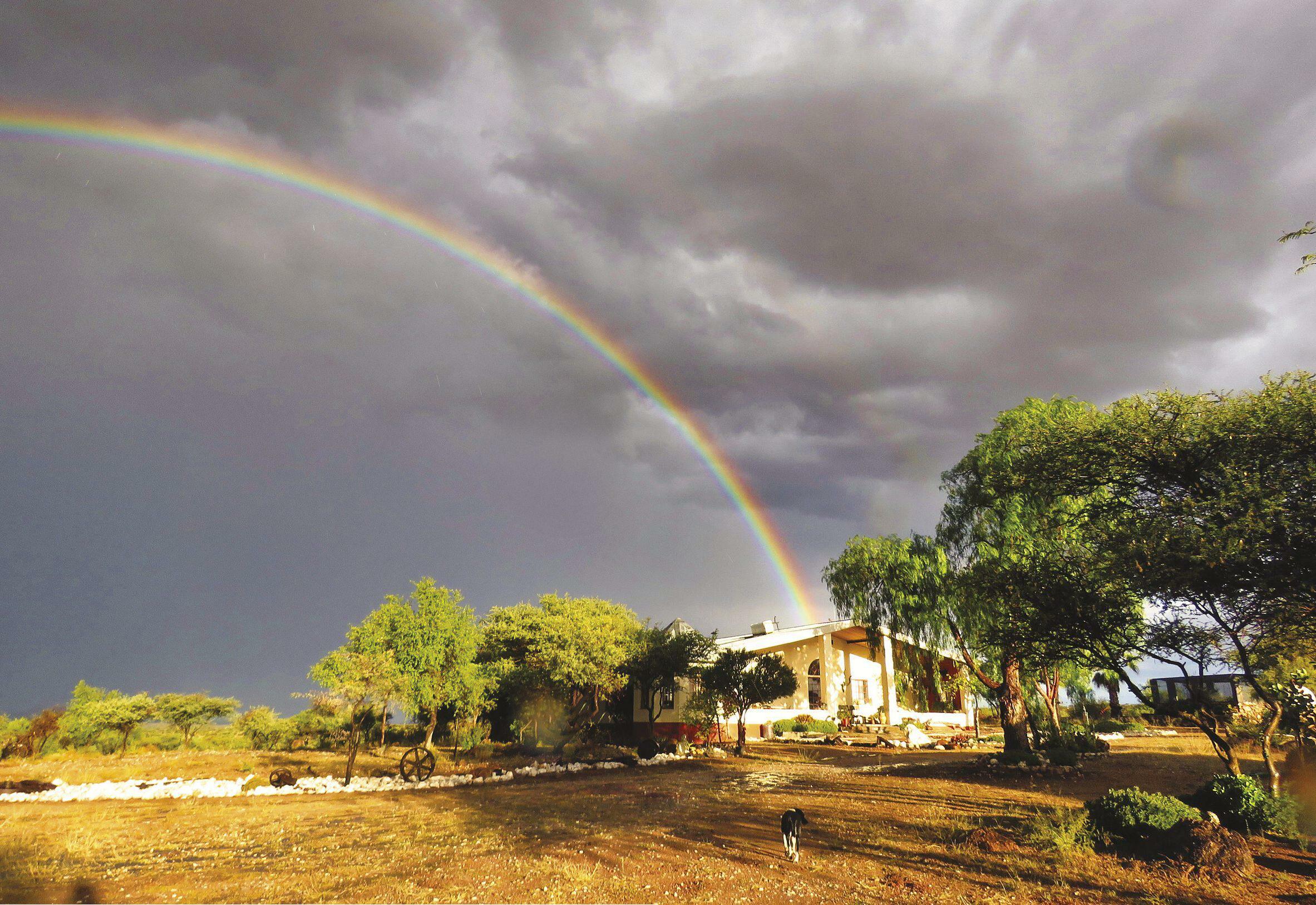 A last refuge at the Gamsberg