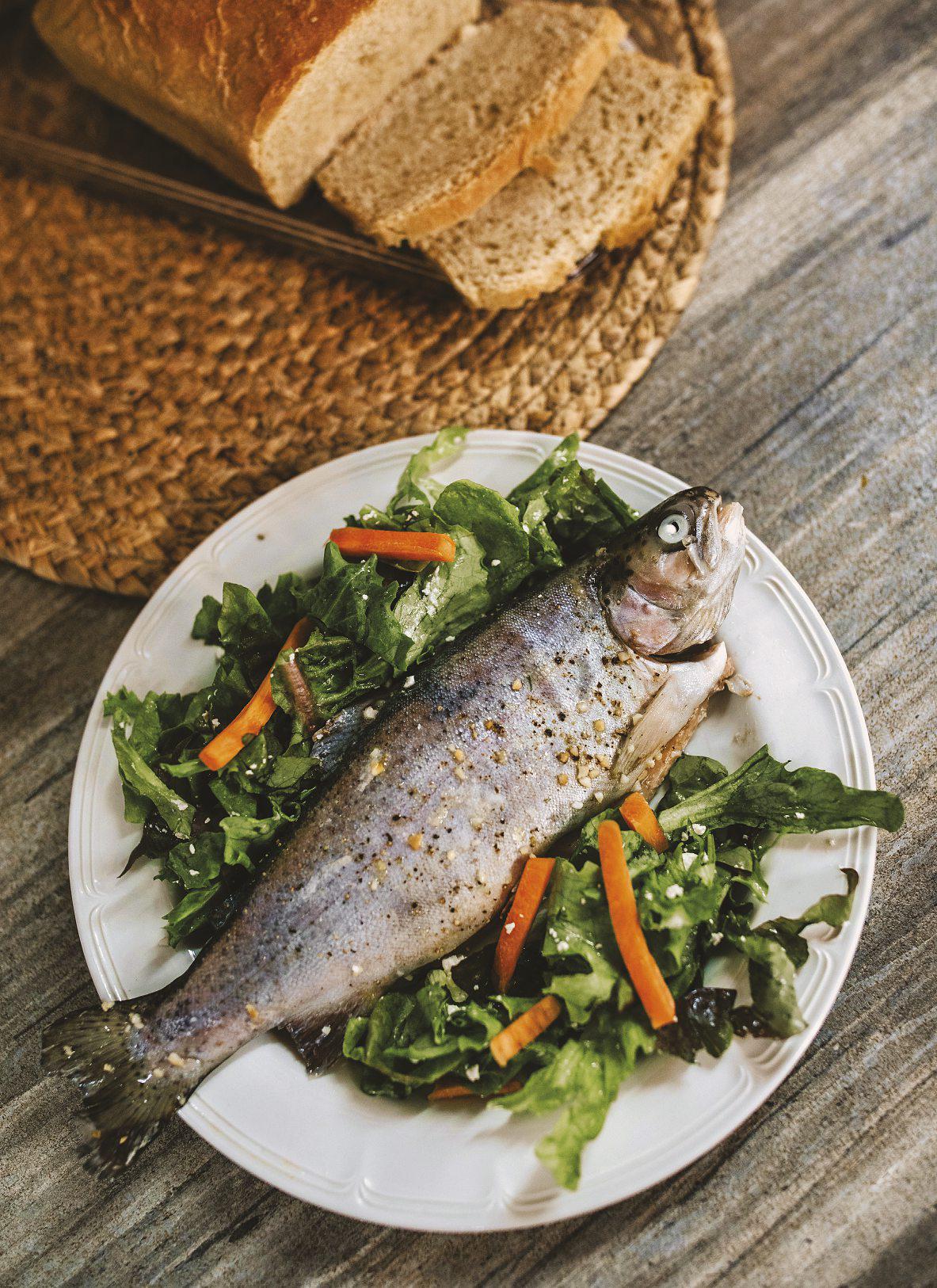 Salad and trout from the maize triangle