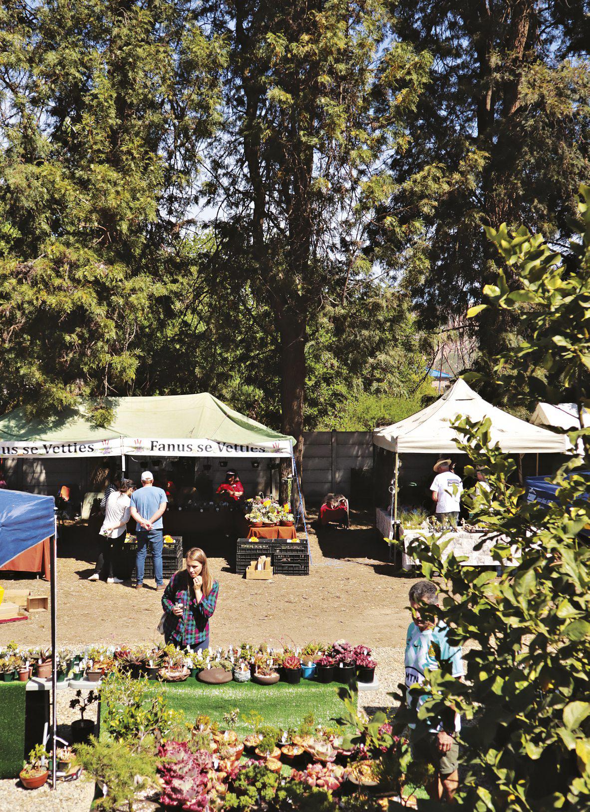 A festival that grows on you