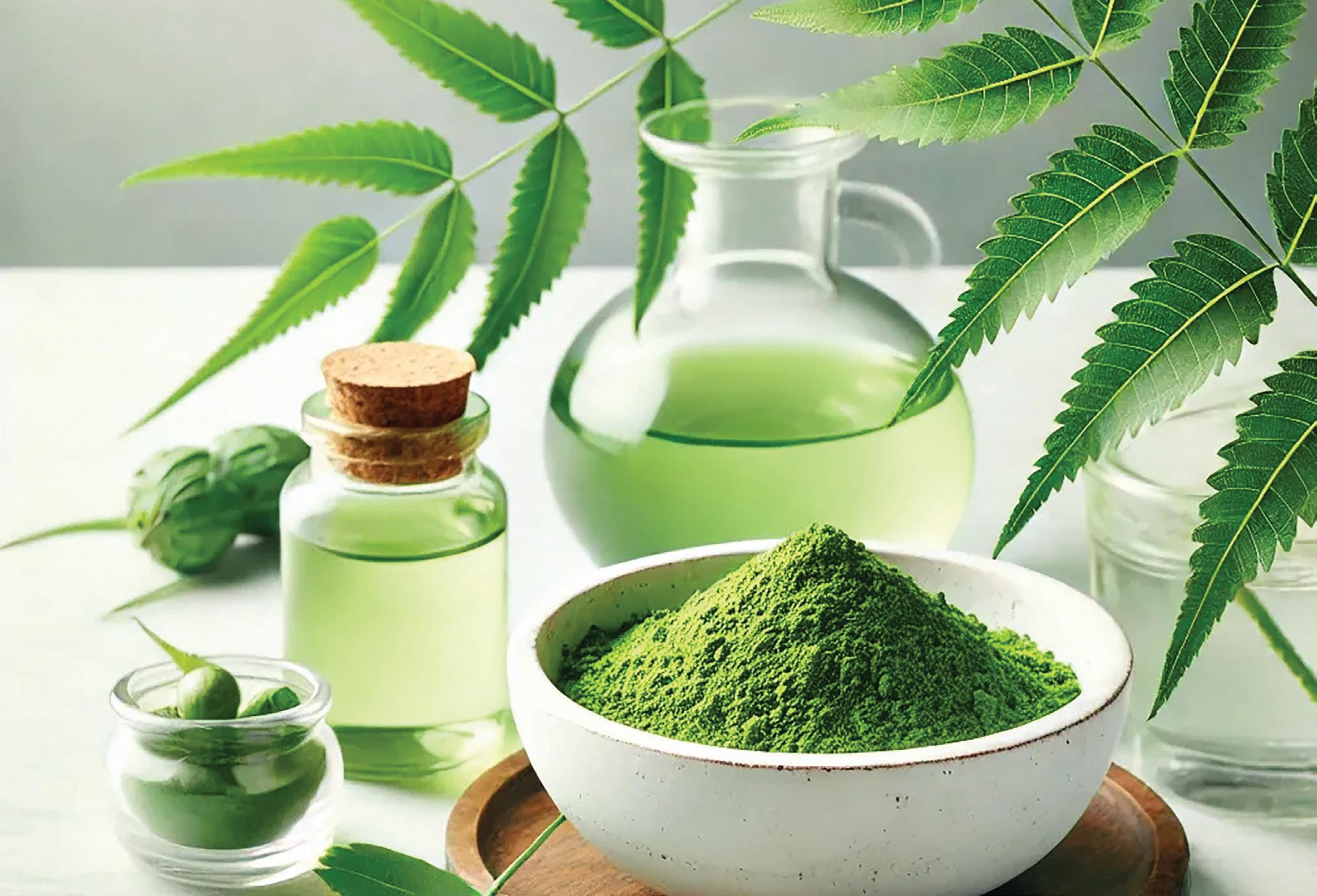 NEEM: THE ANCIENT GREEN WARRIOR REDEFINED BY MODERN SCIENCE