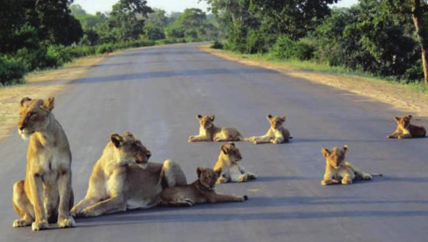 &#2965;&#3018;&#2992;&#3019;&#2985;&#3006; &#2965;&#3009;&#2975;&#3021; &#2984;&#3007;&#2991;&#3010;&#3000;&#3021;!