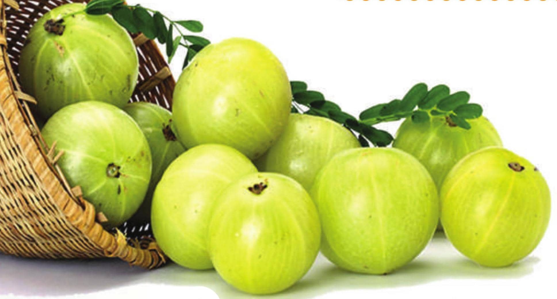 நலம் தரும் நெல்லி