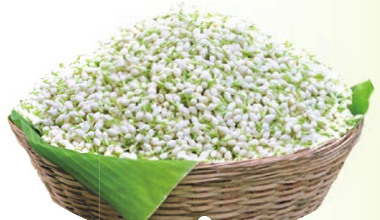 பூவே பூச்சூடவா!