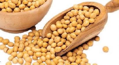 சத்துக்கள் நிறைந்த சோயா!