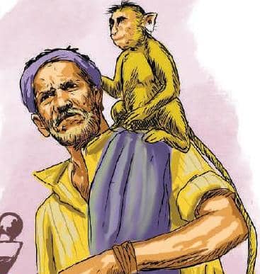 சறுக்குமரம் பிழைத்தது