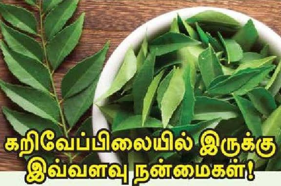 கறிவேப்பிலையில் இருக்கு இவ்வளவு நன்மைகள்!