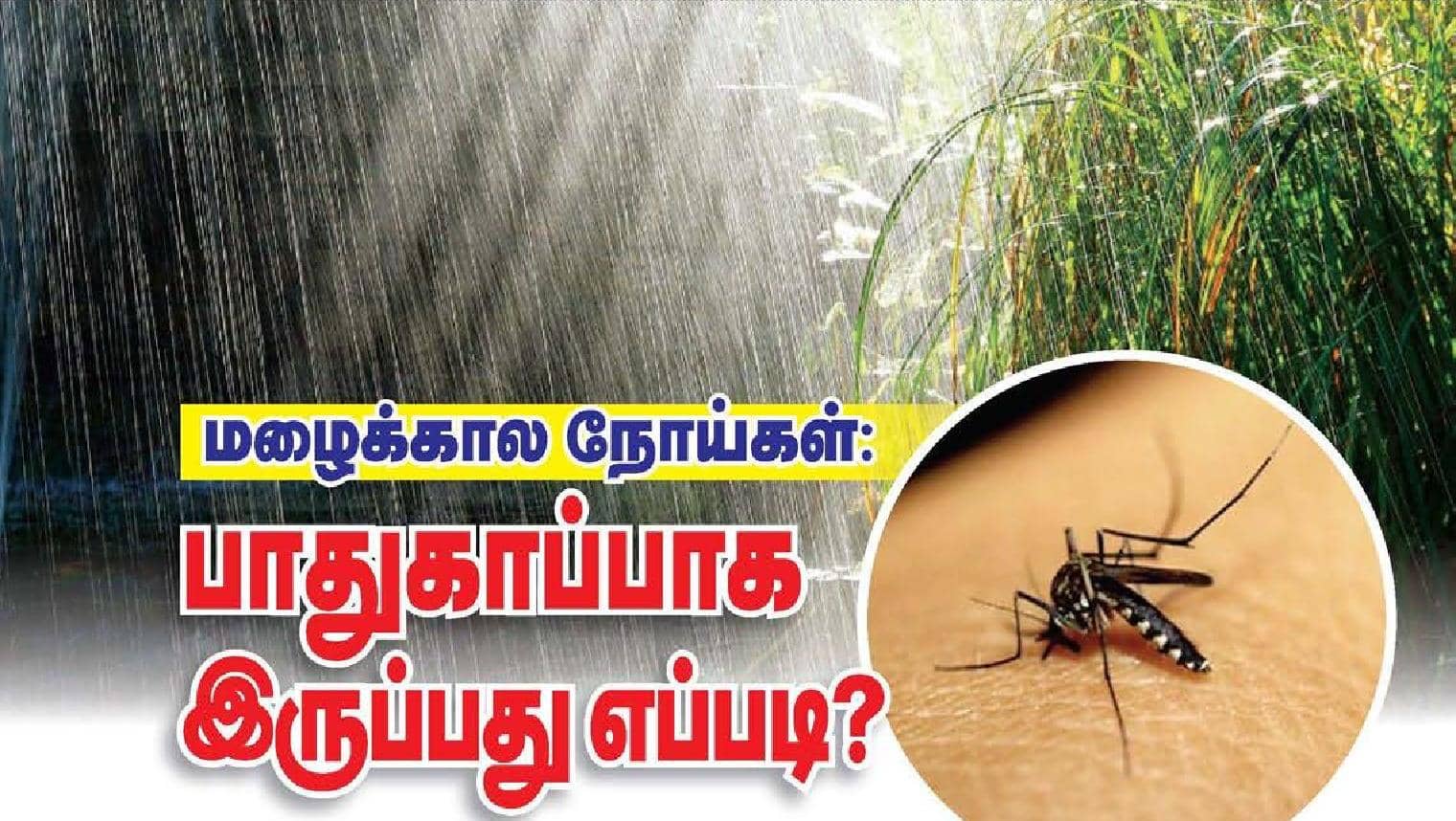மழைக்கால நோய்கள்: பாதுகாப்பாக இருப்பது எப்படி?