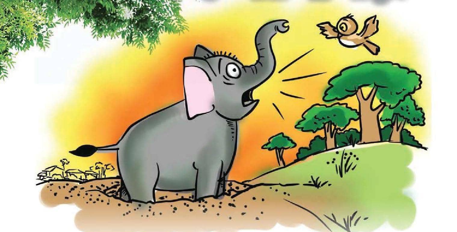 அப்புவுக்கு வந்த ஆபத்து!