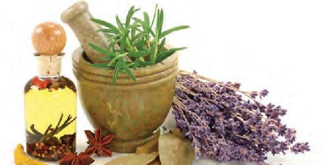 மருந்தாகும் மூலிகைகள்