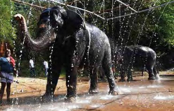 பாப் கட்டிங் செங்கமலமும் தோழிகளும்!