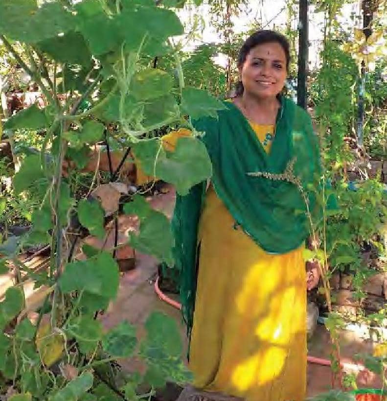 செடிகளும் நாமும்