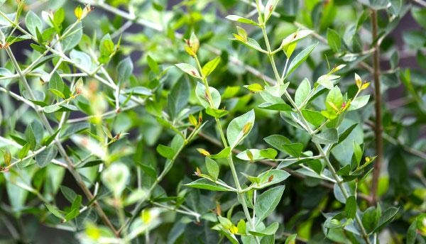 &#2990;&#2992;&#3009;&#2980;&#3006;&#2979;&#3007;&#2986;&#3021;&#2986;&#3010; &#2990;&#2965;&#2980;&#3021;&#2980;&#3009;&#2997;&#2990;&#3021;!