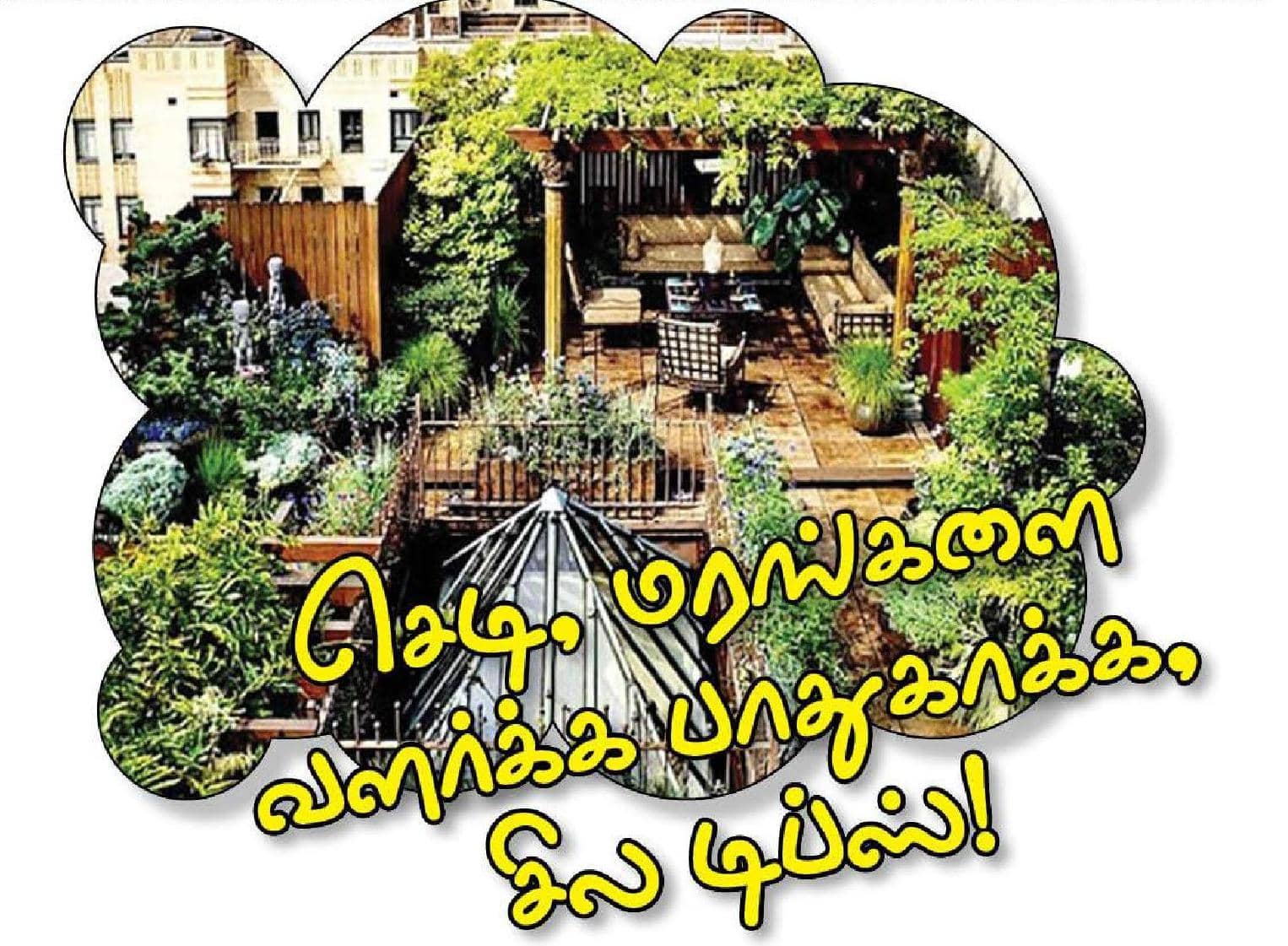 செடி மரங்களை வளர்க்க பாதுகாக்க சில டிப்ஸ்  