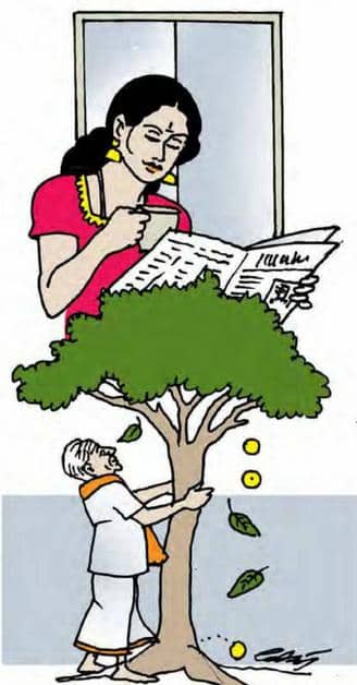 'சல சல' ஓசை!