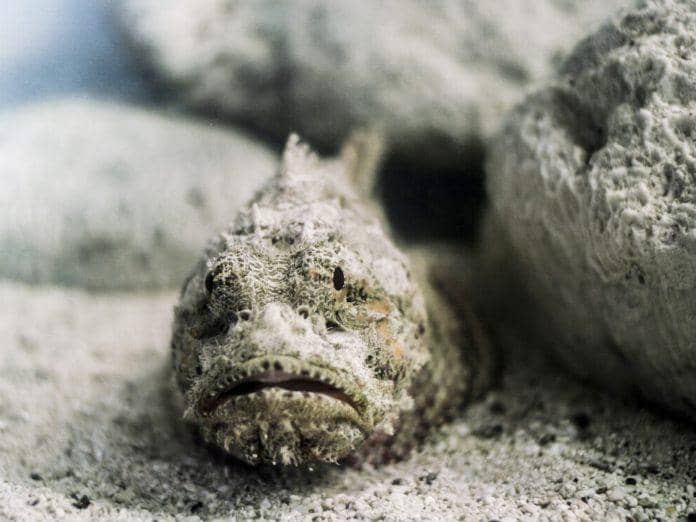 &#2965;&#2994;&#3021;&#2994;&#3006;&#2980;&#2980;&#3009; &#2965;&#2975;&#2994;&#2995;&#2997;&#3009; - 6