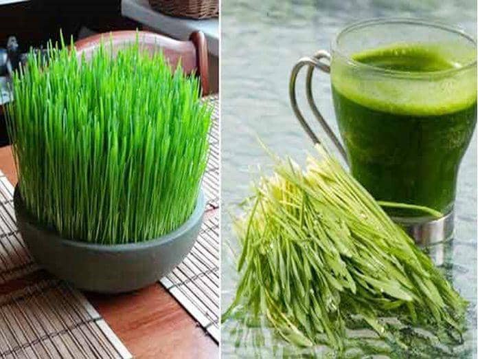 &#2965;&#2980;&#2990;&#3021;&#2986; &#2997;&#3006;. &#2972;&#3006;'..!