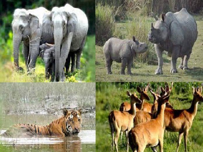 எங்களைக் கவர்ந்த உலக பாரம்பரியச் சின்னம்!