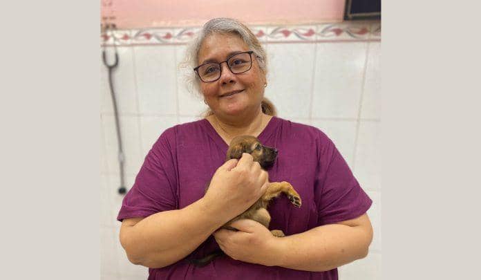 சோ ஸ்வீட்! செல்லப் பிராணிகளை கொஞ்சும் முன் சற்றே சிந்தியுங்கள்!