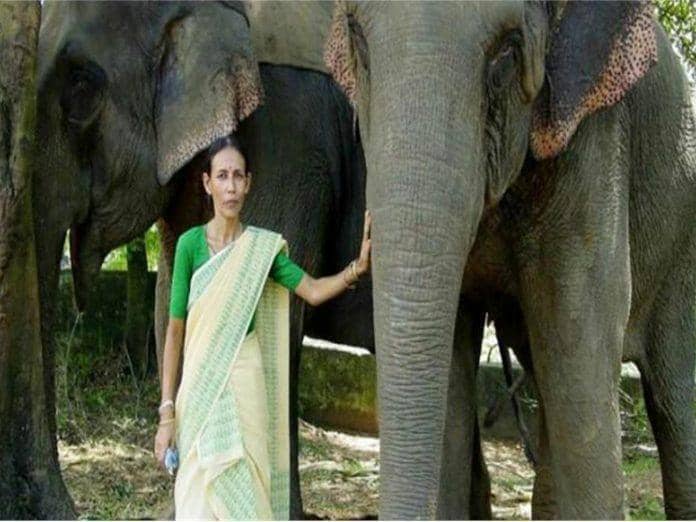 யானைகளை மனிதர்களிடமிருந்து காப்பதுதான் எனது நோக்கம்!