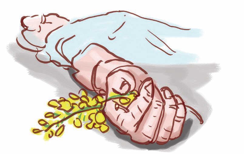 കൊന്ന മരങ്ങളുടെ ഘോഷയാത