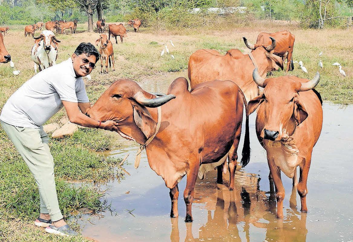 നല്ലത് നാടൻതന്നെ