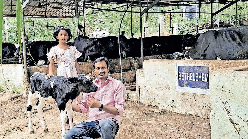 ഒരു പശുവിൽ തുടക്കം ഒന്നര ലക്ഷം രൂപ ലാഭം