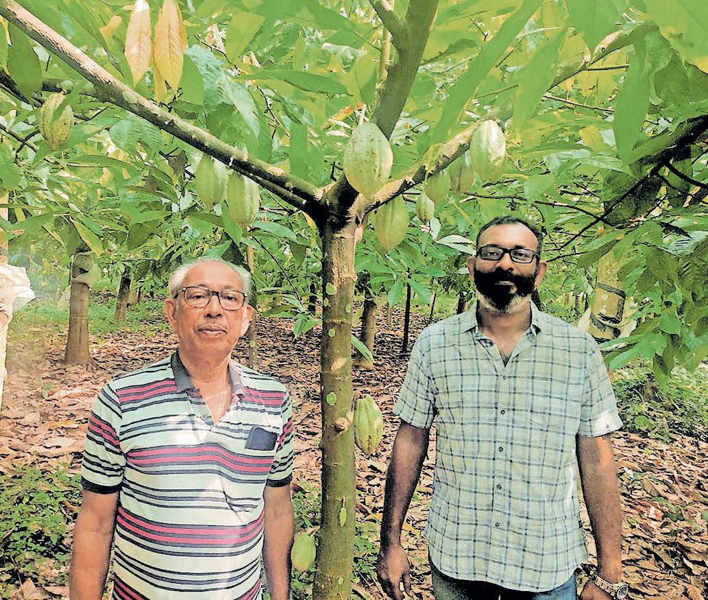 ലാറ്റക്സിലൂടെ മാത്രമല്ല ലാഭം