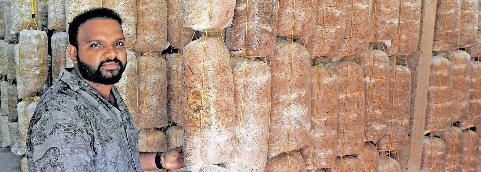 തനതുവഴിയിൽ കൃഷി ലാഭമാക്കി യുവാക്കൾ