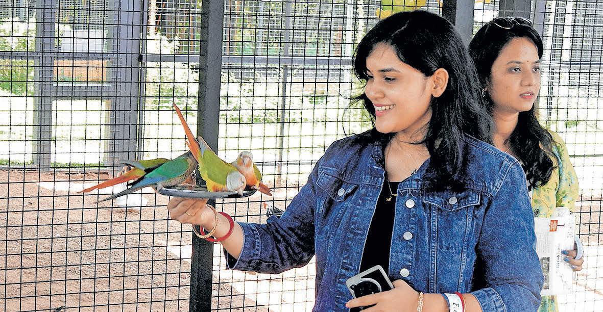 പെറ്റ് പാർക്ക് അരുമകളുടെ പുതുലോകം