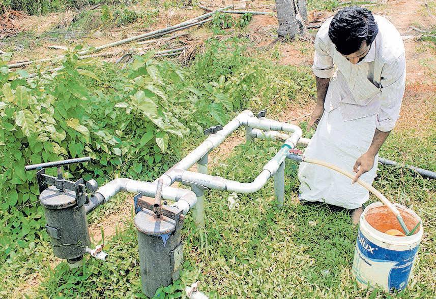 കാലത്തിനൊത്തു മാറണം വളങ്ങളും വളപ്രയോഗവും