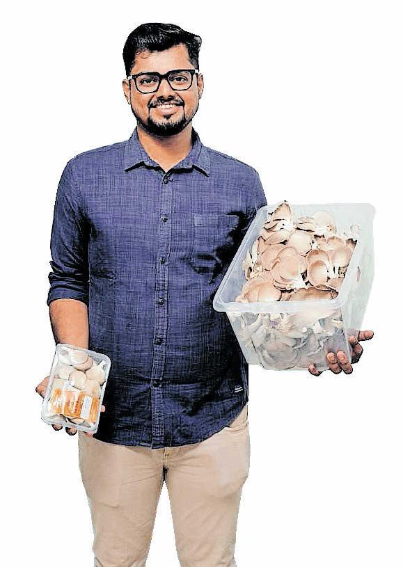 കൂൺ ഫാക്ടറിയിൽ കൂളായി സംരംഭകൻ