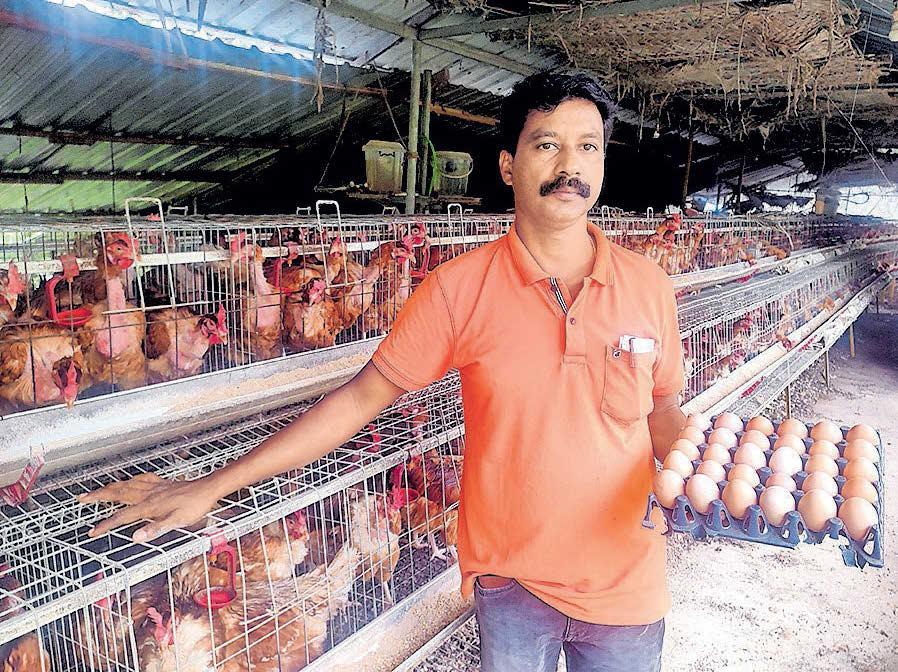 മുട്ടവണ്ടിയിൽ മുട്ടൻ ബിസിനസ്